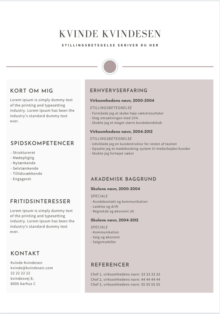 Curriculum vitae betydning 08 picture