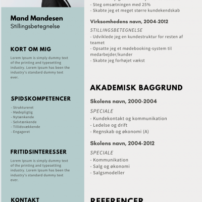 perfekt cv